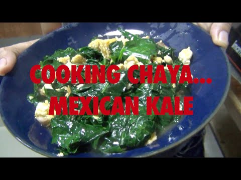 , title : 'Cooking Chaya...Mexican Kale'