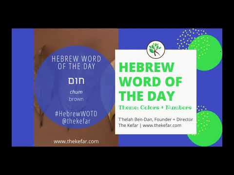 Hebrew Word of the Day - Brown
