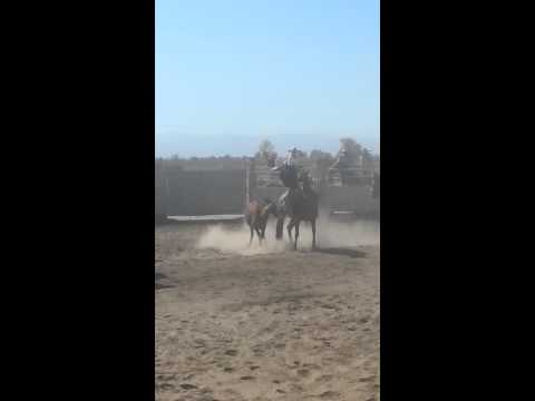 Compadres de Mendota 10/19