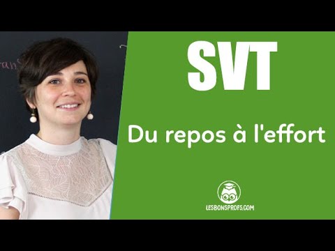 La fréquence cardiaque et la fréquence respiratoire : du repos à l'effort