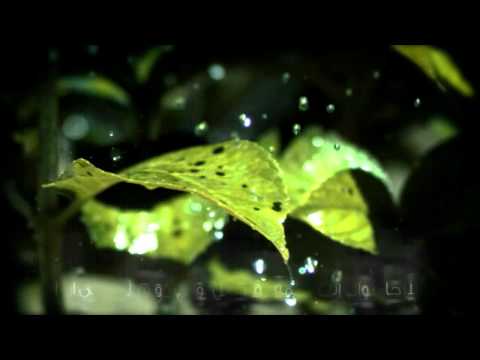 Muslims1’s Video 33062530044 RbZJfsbd1Qo