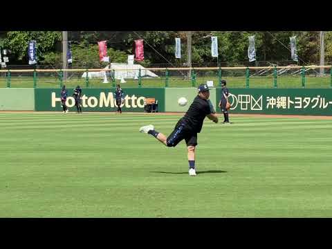 【野球】平良フォームスローと軌道