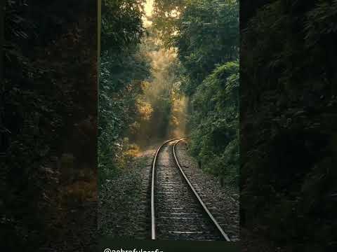 Here are some popular hashtags for nature reels:#nature #naturelovers #naturephotography #naturegram