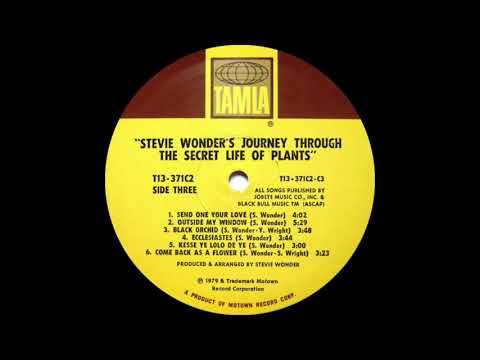 Stevie Wonder - Send One Your Love (Tamla Records 1979)