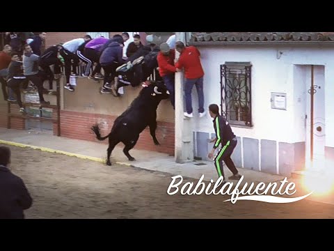 El Toro de San Blas Babilafuente 2020