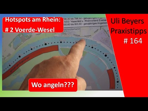 Angeln am Rhein auf Zander: Hotspots von Voerde bis nach Wesel