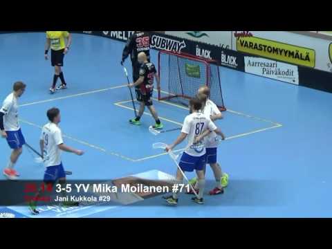 Maalikooste: Happee - EräViikingit