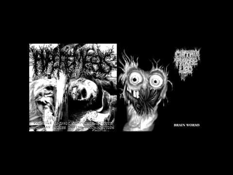 Hyperemesis [Canada] & Captain Three Leg [USA] split CD-R [full split, 2012]