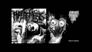 Hyperemesis [Canada] & Captain Three Leg [USA] split CD-R [full split, 2012]