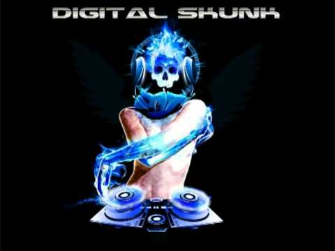 Down in the Dubs - Digital Skunk