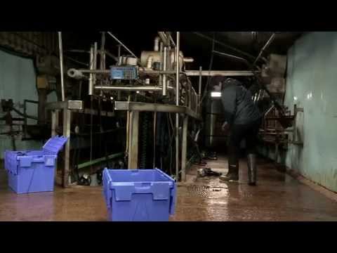 How does Cluster Exchange work?