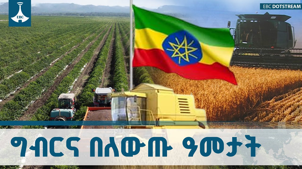 የግብርናው ዘርፍ ባለፉት የለውጥ ዓመታት ምርትና ምርታማነትን በማሳደግ ረገድ ምን ደ?