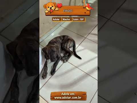 Vídeo de FROID 