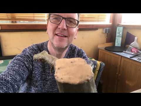 2022 Josef Bruns Hainbuche aus der Gartenhecke 'Carpinus betulus'