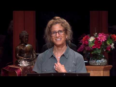 Tara Talks: The Wisdom of 'It's Not My Fault'