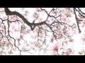 ARMS AND SLEEPERS - Simone (Amanda Rogers ...