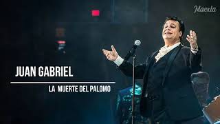 Juan Gabriel  -  La muerte del palomo