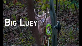 Ears back, slobbering at the mouth, he was ready to fight! Big Buck!