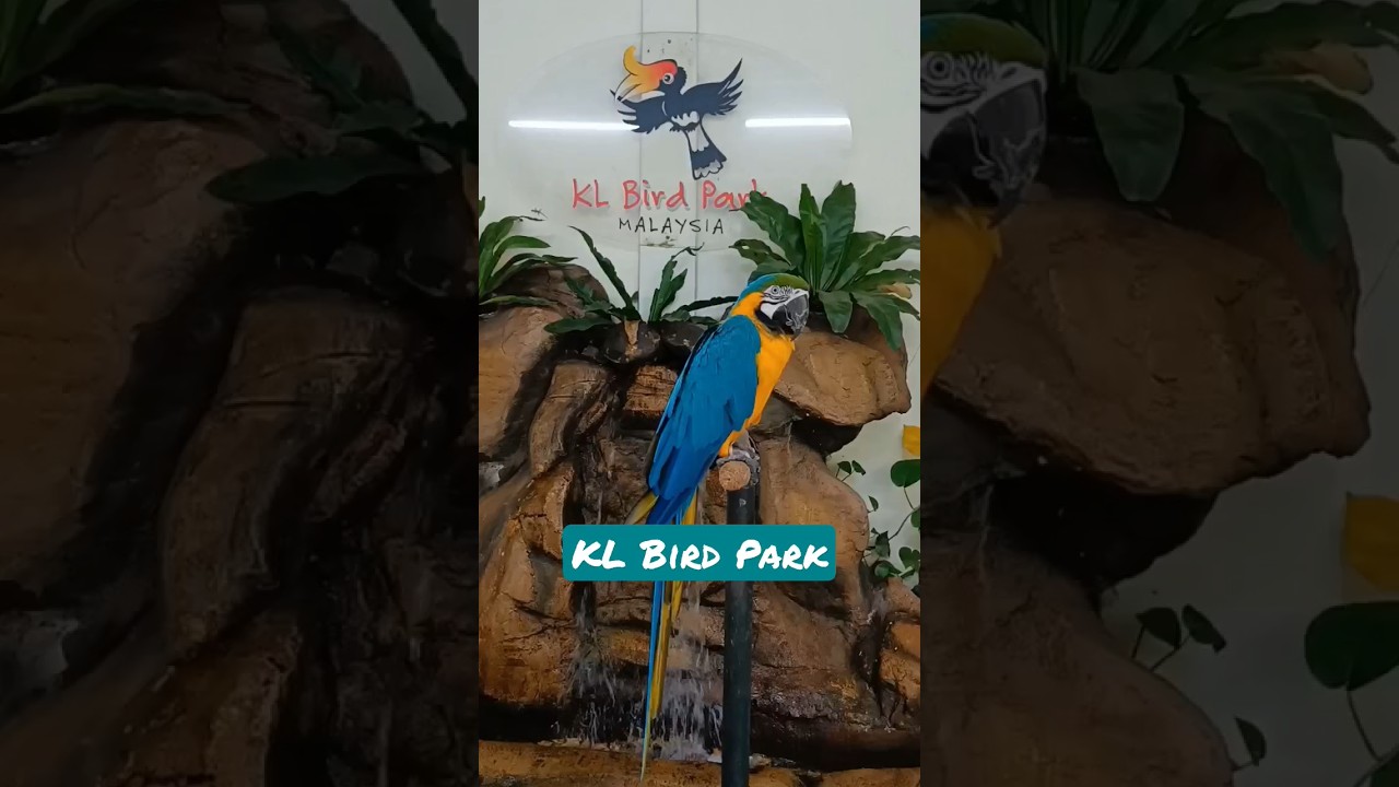 YouTube Short thumbnail