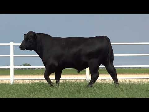 Lot 71, G A R 100X N5067