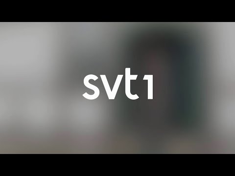 SVT1 (Sweden) - Continuity (November 11, 2025)