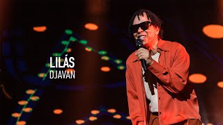 Lilás (Ao Vivo) Lyrics English Translation