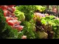 Cyclospora Outbreak What Houston Area Shoppers Need To Know Right Now