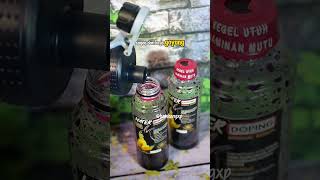 Download lagu Ini Cara Saya Menggacorkan Burung Sogon Agar Gacor Sepanjang hari dan Fighter #sogon #sogongacor mp3