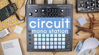 Video thumbnail for Novation - Circuit Mono Station by Knobs