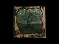 Days Of The New - Not The Same (1999 CD Audio)