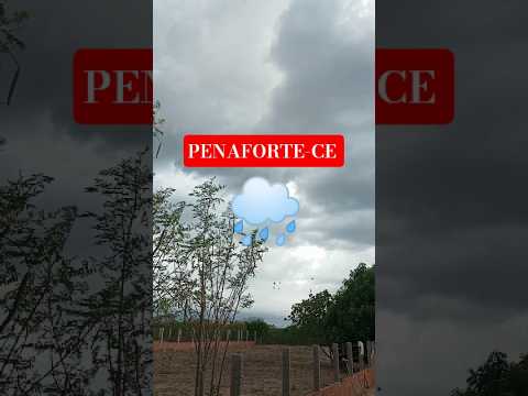 Chuva em Penaforte-Ce #viral #nordeste #yourcat #chuva