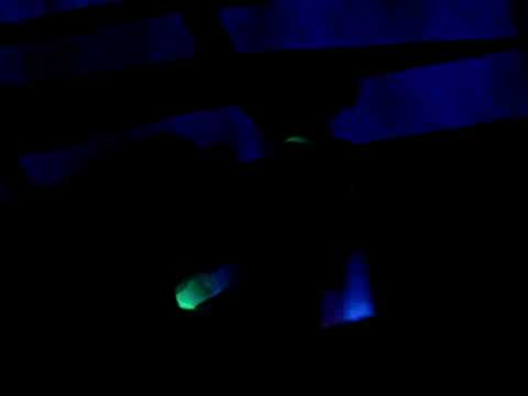 Tigger HTID @ Ravers Reunited UV Skool Disco