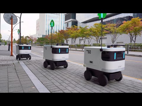 로보티즈 개미 (실외용)