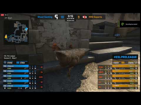 Steam Community :: Video :: CSGO Chicken spinner