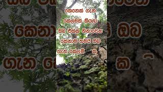 Download lagu නිවන් දකින්න කාලය පැමිණ ඇත. #motivation #love #quotes mp3
