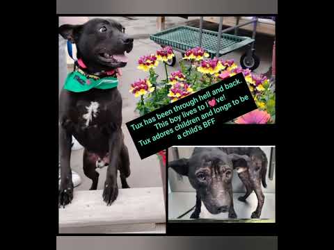 They Need You Right Now