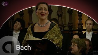 Bach: Weihnachtsoratorium BWV 248 - Cantate no.1 - Combattimento Consort Amsterdam - Live