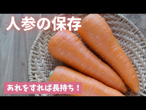 ルッコラの保存方法:こうすれば鮮度が長持ちします ライフスタイル