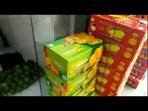 download lagu mp3 mp4 Mango Stationery Vashi, download lagu Mango Stationery Vashi gratis, unduh video klip Mango Stationery Vashi