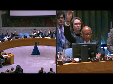 US vetoes Gaza ceasefire call at UN | AFP