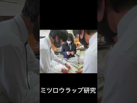 商学科 富士見高校ショートムービー