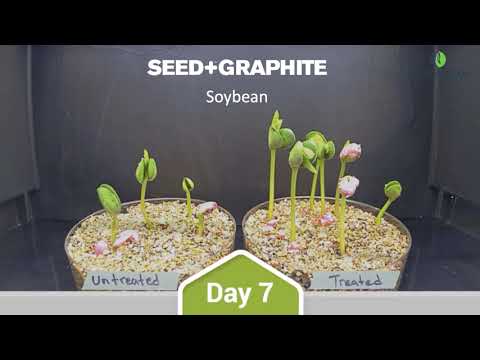 Soybean Timelapse