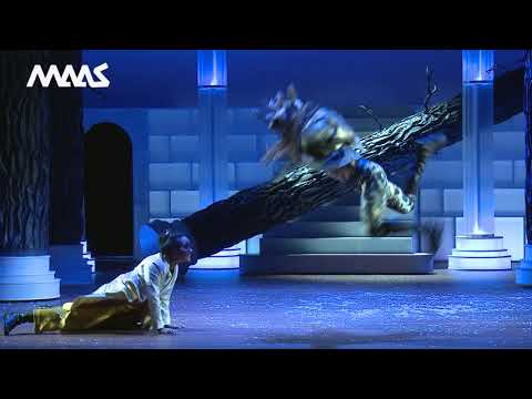 Trailer Beauty en het beest - Maas theater en dans