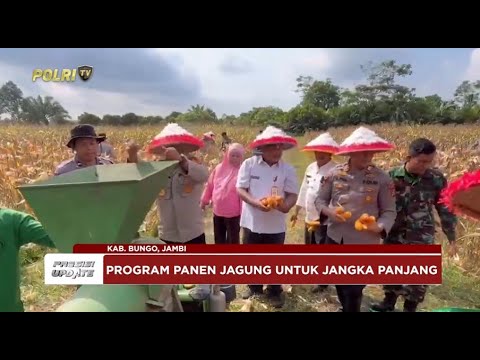 PRESISI UPDATE: POLRES BUNGO PANEN RAYA JAGUNG, DUKUNG KETAHANAN PANGAN NASIONAL 22/05/2025 (16.00)