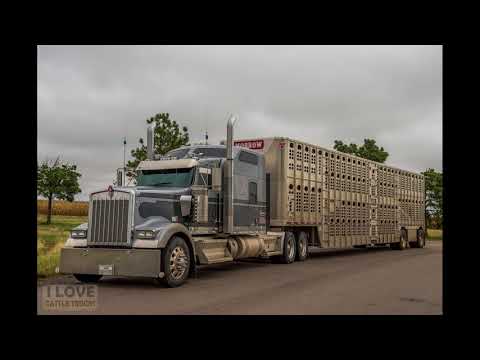 Dalhart - Liberal 2017