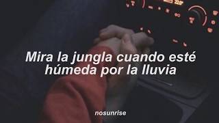 Carla Bruni  |  You belong to me; español