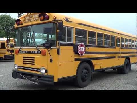 Northwest Bus Sales - 1990 Blue Bird 12 Row School Bus For Sale - B35133