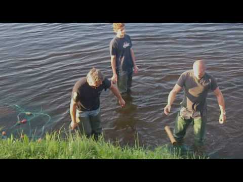 Notfiske i Skellefteå