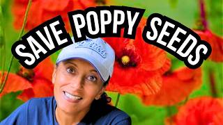 Stop Buying Poppies! Do This Instead 🛑🌱
