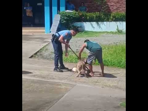 The dog deserves best actor award 😂😂